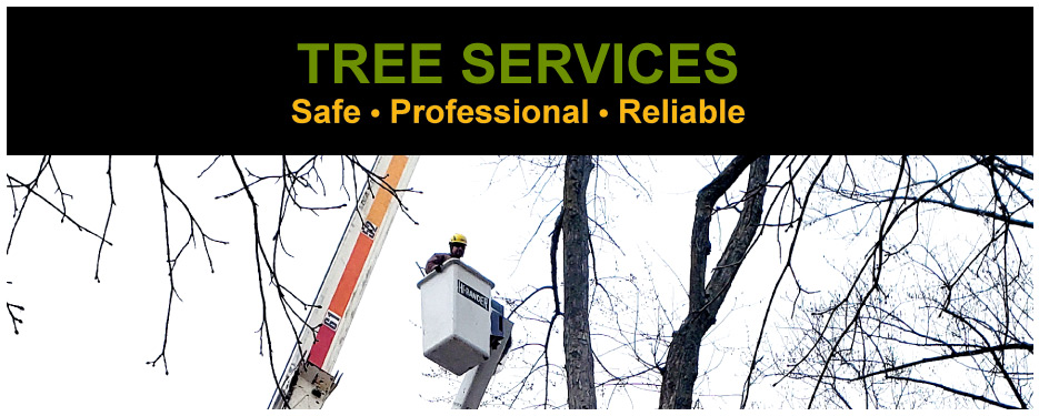 Desiderio Tree Services